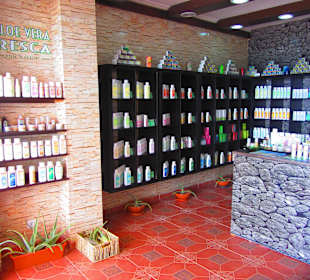 Aloe Vera Infocenter Fuerteventura - Morro Jable