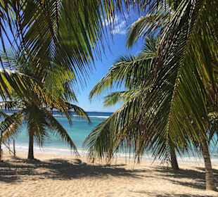 Traumhafte Kulisse unter Palmen