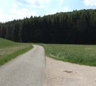 Klimaweg Sonnenalb