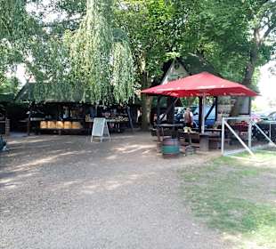 Großer Spreewaldhafen Lübbenau in Lübbenau