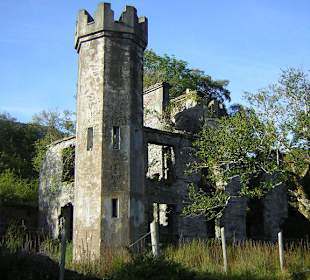 Burgruine