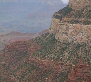 Parco nazionale Grand Canyon