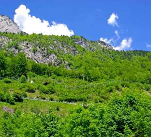 Plöckenpass 2010 die ganze Strecke