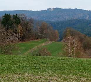 Ausblick