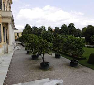 Schloss Schönbrunn