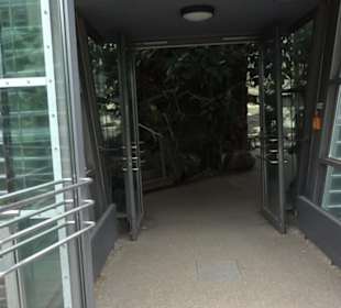 Tierpark Hellabrunn - Fische