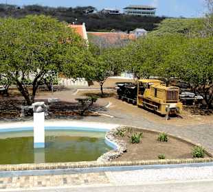 Blick in den Museumsgarten