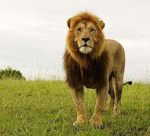 Ob der gleich springt, etwas mulmig war mir schon