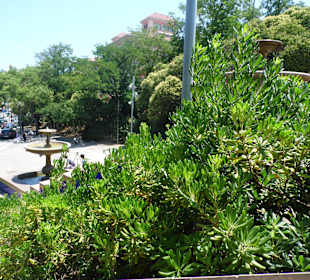 Museo Nacional de Arte de Catalunya