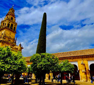 Patio de los Naranjos