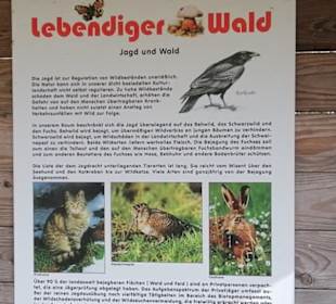 Hummelbergweg