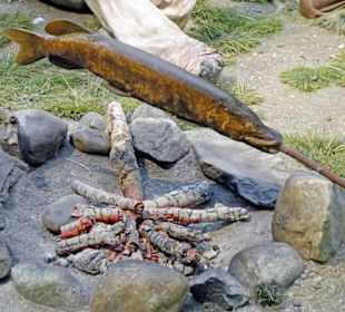 Fisch über einem Feuer