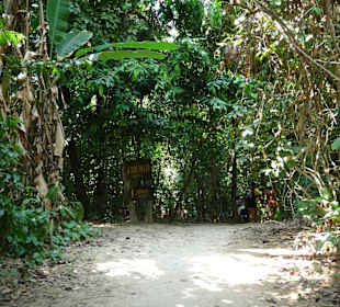 Weg zum Strand Nr. 2 auf der Insel Nr. 4