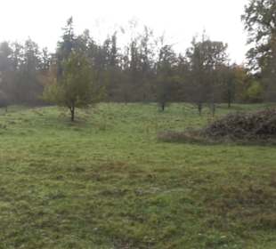Herzog-Jäger-Pfad