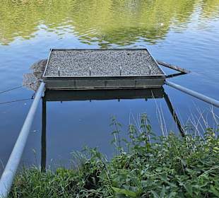Vogelrastplatz