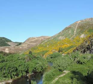 Mitder Taileri Railway durch die Natur Neuseelands