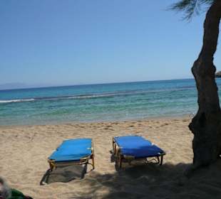Auch das ist Paradise - Beach