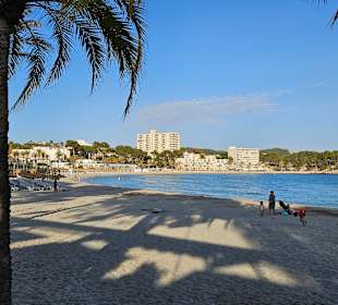 Strand Paguera/Peguera 
