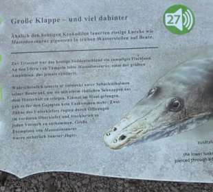 Dinosaurier Museum Altmühltal