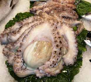 Rundgang durch den Mercat de Sant Josep