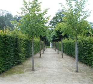 Schlosspark Sanssouci