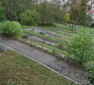 Serpentinenweg Grünraum