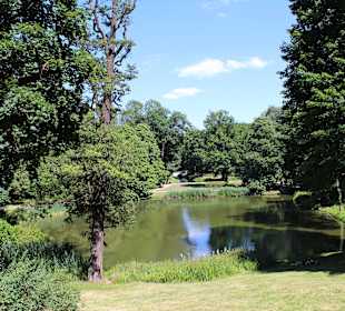 Łazienki królewskie, park