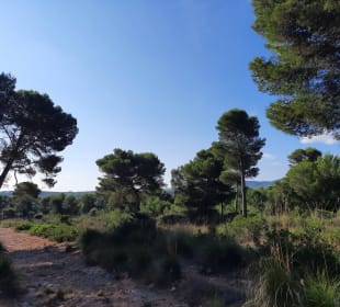 Wandern Cala Ratjada