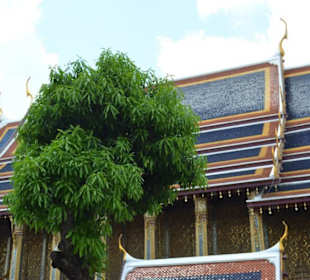 Wat Phra Keo und Königspalast / Grand Palace