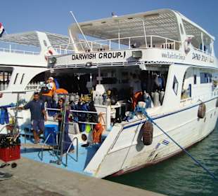 Beste Tauchbasis in der Marina
