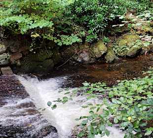 Beim Torc-Wasserfall im Killarney-Nationalpark