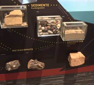 Museum für Naturkunde