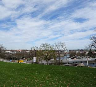 Schlossgarten Übergang zum Rosensteinpark