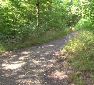 Sophienbrunnen von 1839 