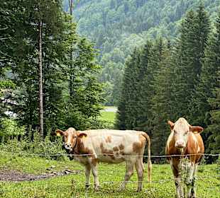 Wandern Bruck a Ziller