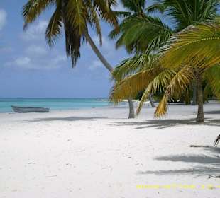 Traumstrand Saona