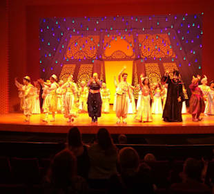 Musical Disney Aladdin