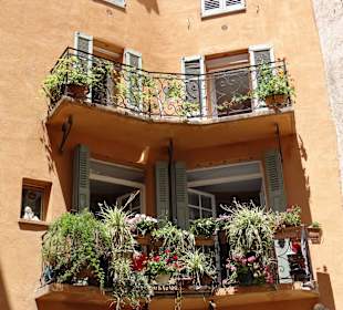 "Старый" Грасс