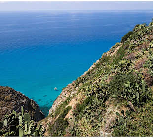 Capo Vaticano