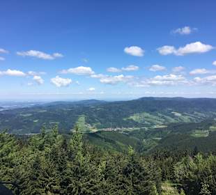 Wandern Oberwolfach