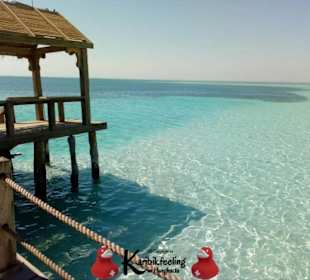 Https://karibikfeeling-in-hurghada.jimdo.com/