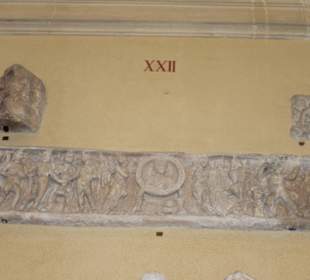 Pictures of statue in Vatican Museum, Rome, Italy 