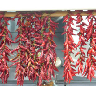 Marktbesuch in Loulé