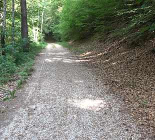 Waldlehrpfad in Tieringen