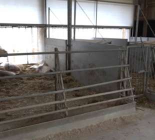 Erlebnisbauernhof und Wildgehege