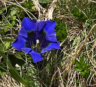 Wandern Verwall St. Anton am Arlberg