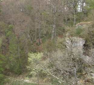 Burgruine Hohenhundersingen