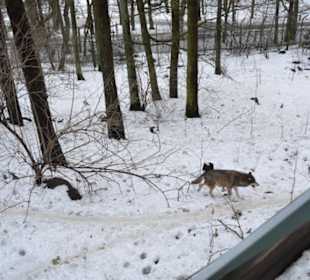 Freilichtmuseum Skansen