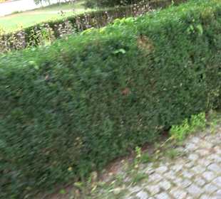 Stefanushaus mit Apothekergarten