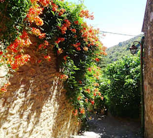 Impressionen aus Castelnou